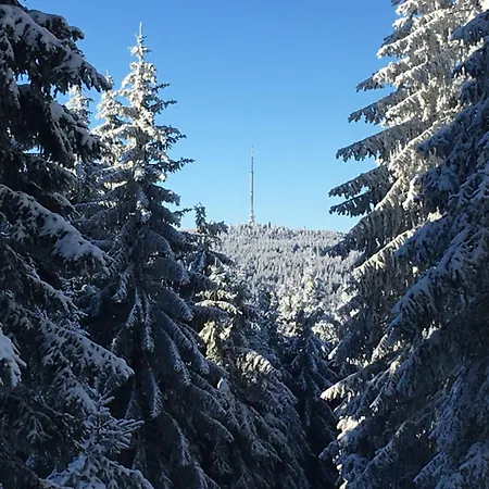 Fleckl Nest